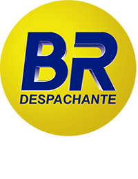 BR Despachante Logo